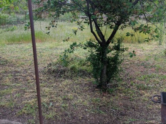 Продам дачный участок,в новослободке,возможен обмен на машину,ТОРГ Новослобідка