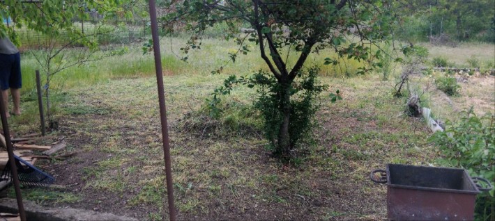 Продам дачный участок,в новослободке,возможен обмен на машину,ТОРГ - фото 1
