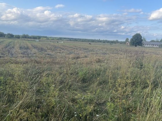 Земельна ділянка с.Забороль Забороль