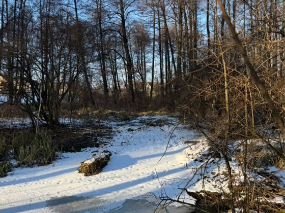 Земельна ділянка з прямим виходом до річки 0.25 га Забороль
