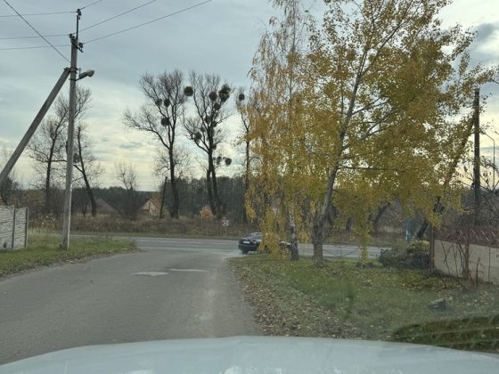 Фасадна ділянка  з асфальтованим доїздом 0.20 га Забороль