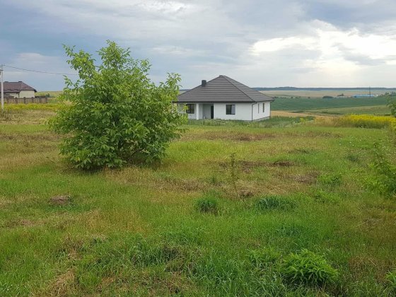 Продам земельну ділянку під забудову в селі Забороль Забороль