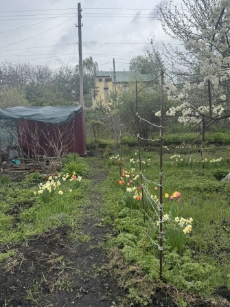 Продам дачный участок с/т Орель с коммуникациями! - фото 1