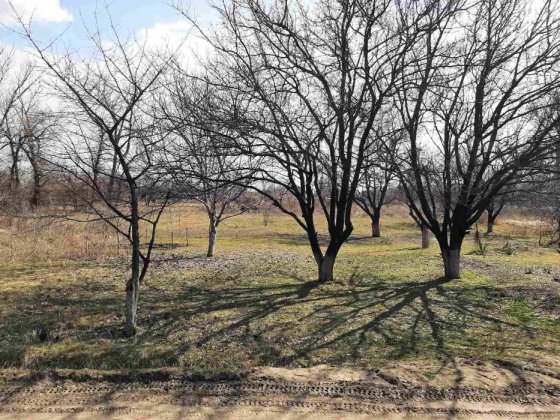 Продам ділянку, смт Курилівка Курилівка