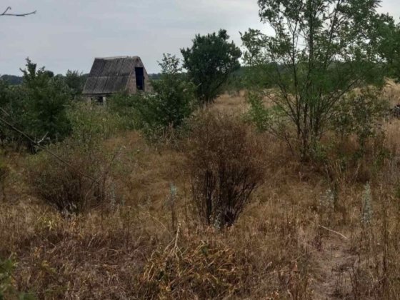2 участка по 15соток в Куриловке Курилівка