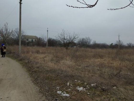 Участок 10 соток не приватизированный. Сдам в аренду или продам. Курилівка
