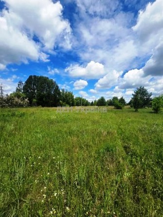 Продаж землі 56 га на межі Києва (Бориспільський напрямок) - фото 1