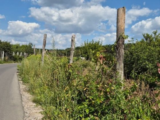 Продається земельна ділянка в Білій Церкві в районі  Гайка. Белая Церковь