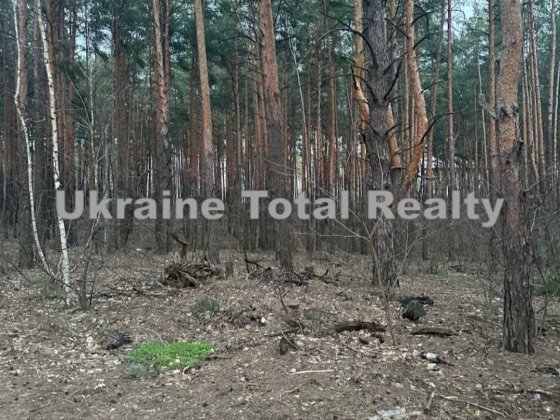 БИКІВНЯ Земельна ділянка 10 сот під забудову біля лісу! Пров. Радистів Киев