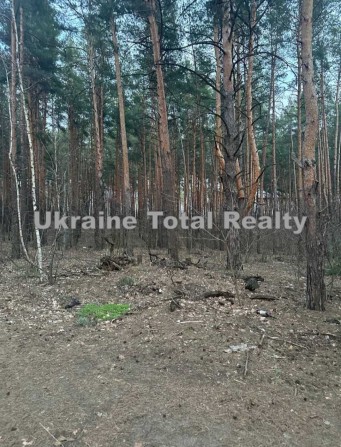 БИКІВНЯ Земельна ділянка 10 сот під забудову біля лісу! Пров. Радистів - фото 1