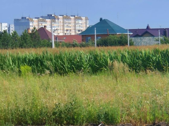 Земельна ділянка біля Таращанського круга Біла Церква
