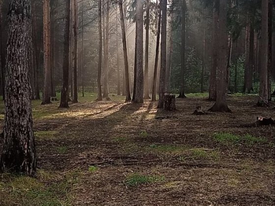 Продам ділянку Буча Буча
