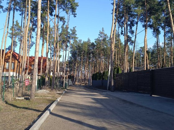 Ділянка серед сосен, 8 соток, нові будинки. Буча