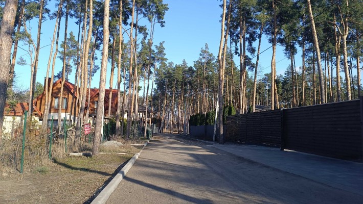 Ділянка серед сосен, 8 соток, нові будинки. - фото 1