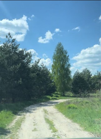 Земельна Ділянка СТ Родзинка Бровари - фото 1