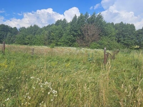 БЕЗ % Продаж ділянки 25 соток під забудову, Літки, Рожни, Бровари Бровары