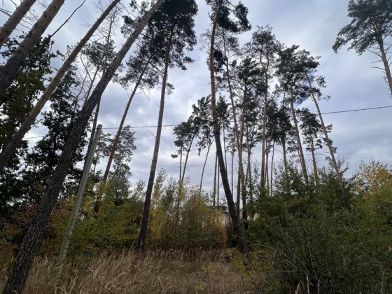 Ділянка 10 соток в лісовій бучі Буча