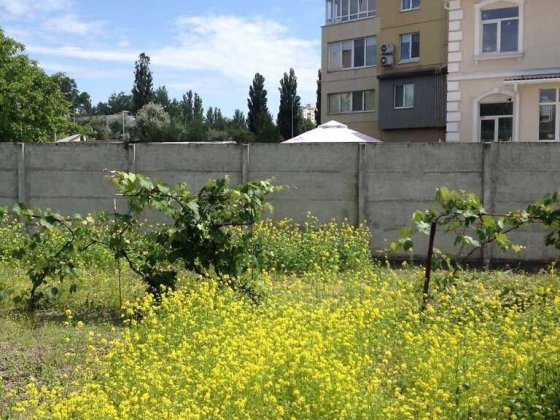 Ділянка в Києві на вулиці Мрії, СТ "Нивки" Киев