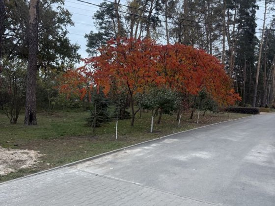 Кутова ділянка в Лісовій Бучі!Власник ! Буча