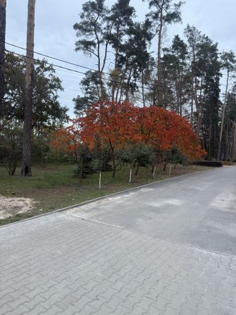 Кутова ділянка в Лісовій Бучі!Власник ! - фото 1
