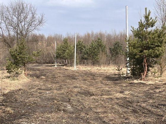 Ділянка 10 соток в м.Буча під будівництво. Світло заведене. Буча