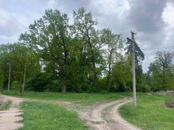 Лісова Буча продаж 10 соток, три фасади. Буча