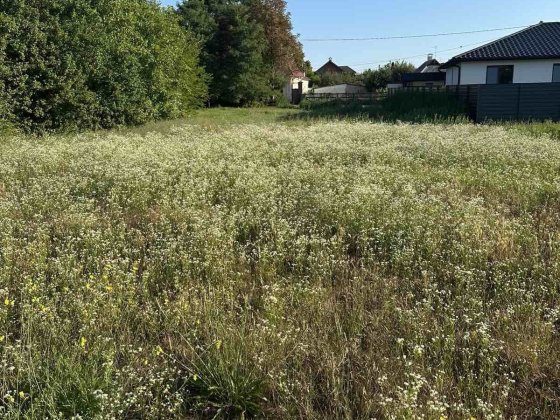 Терміновий продаж ділянки , права сторона міста Бориспіль