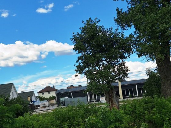 Ділянка вул.Джерельна світло і забудови  поруч Борисполь