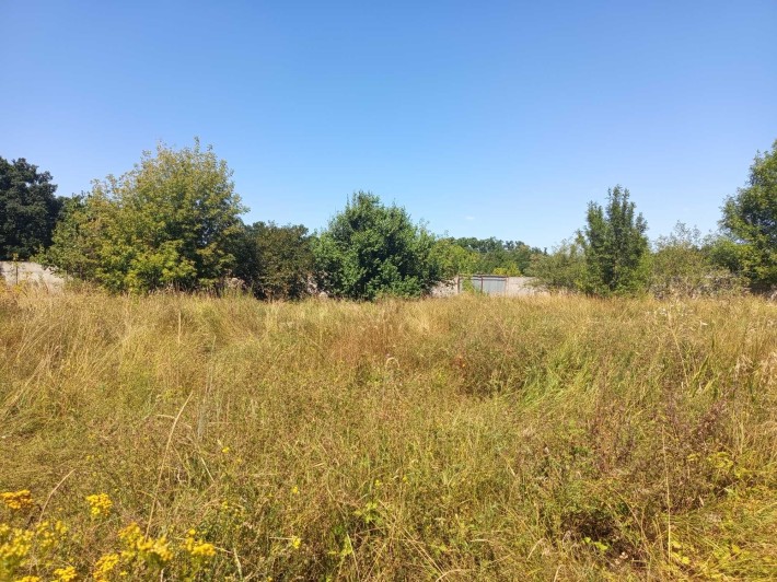 Біла Церква. 55 соток. Промислове призначення. Є світло, вода, капітальні споруди - фото 1