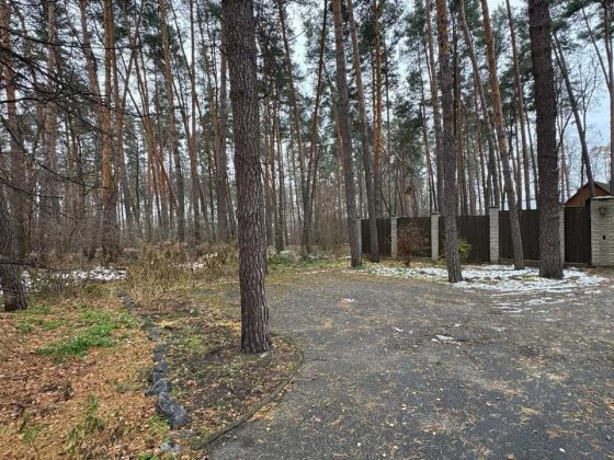 Пропозиція для забудовника Ділянка Буча