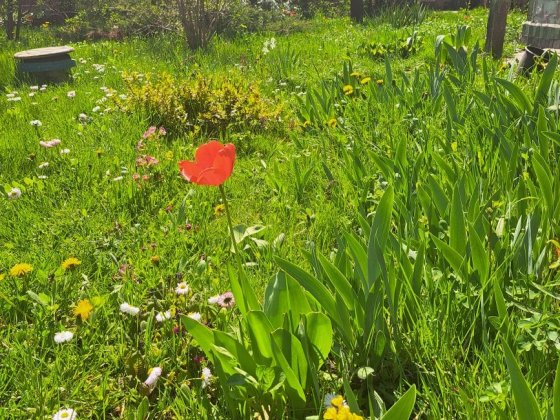 Русанівські сади, центр, ліва сторона, ближче до Дніпра. Київ