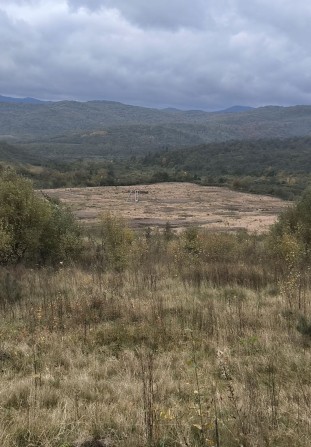 Продам ділянку в Карпатах - фото 1