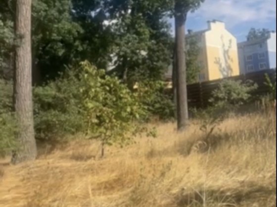 Ірпінь, Білокур. 18 сот Ірпінь