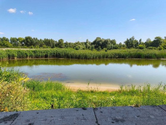 Земельна ділянка на березі затоки Дніпра [] Кременчук