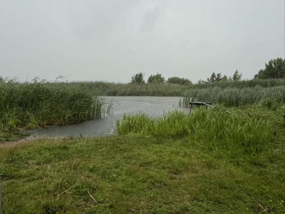 Продаж земельної ділянки поряд з лісом та водоймою (під базу відпочин. Кременчук