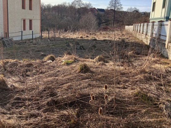 Продам земельну ділянку в Дем'яновому Лазі