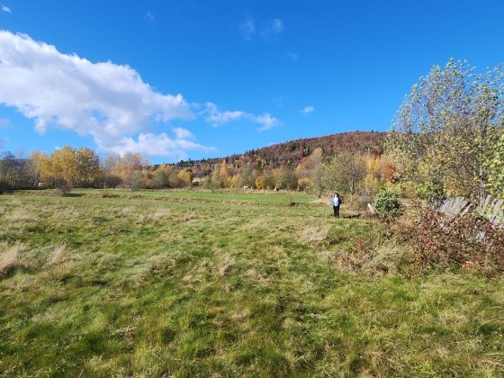 Карпати.Гори.Прикпрпаття.Земельна Ділянка з огорожею 16 сот Івано-Франківськ