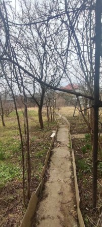 Продам землю з дачею в околицях міста в тихому місці, в Опришівцях - фото 1