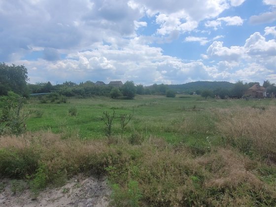 Продам дві ділянки по 10 соток в центрально-міському районі Кривий Ріг