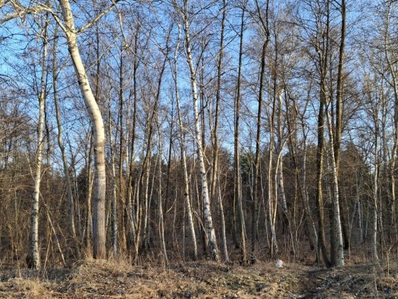 Продам 30 соток приватизированной земли. Кременчук