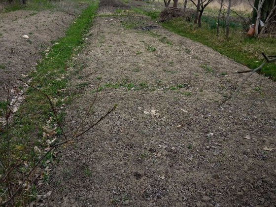 Продається земельна ділянка площею 0,10 га в садовому товаристві "Галицький господар", с.Хриплин