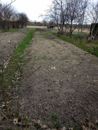 Продається земельна ділянка площею 0,10 га в садовому товаристві "Галицький господар", с.Хриплин - фото 1