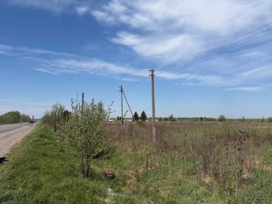 Продається земельна ділянка площею 40.2 сотки, розташована біля дороги.