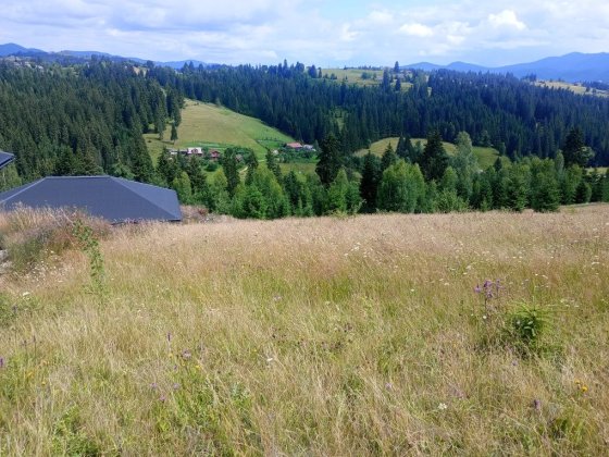 Земельна ділянку с. Яблуниця Ивано-Франковск