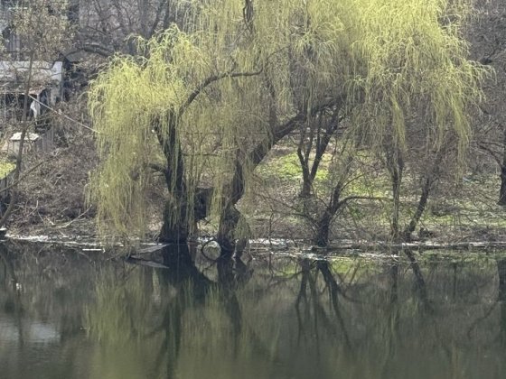 Продаж земельної ділянки біля річки, площа 8,82 соток, поряд парк Маршавцева, Заповідник Скали Модру Кривий Ріг