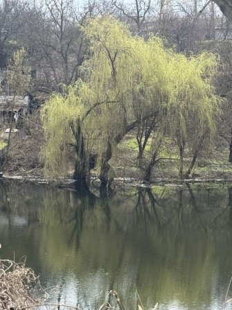 Продаж земельної ділянки біля річки, площа 8,82 соток, поряд парк Маршавцева, Заповідник Скали Модру - фото 1