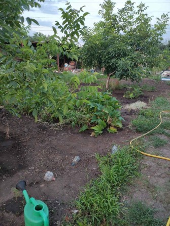 Дача 25 соток землі з будиночком - фото 1