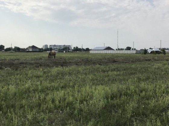 Земельный участок Бузкова (депутатский парк) советская армия Кременчуг