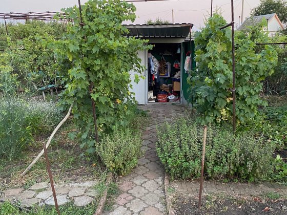 Садовый участок в садовом обществе "Курган" Кривой Рог