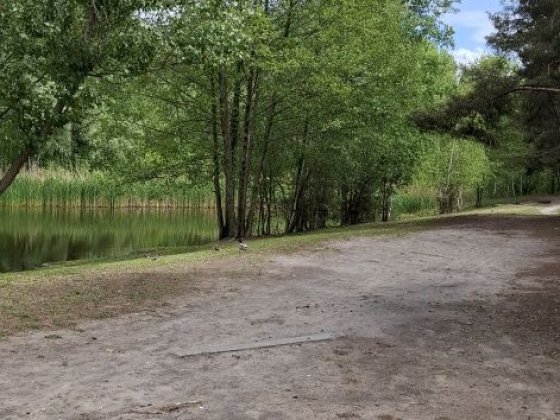 Продам земельну ділянку  біля соснового лісу та озера 3 занасип Кременчук